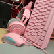 Illustration for article titled My Quest For All-Pink Gaming Gear Is Almost At An End